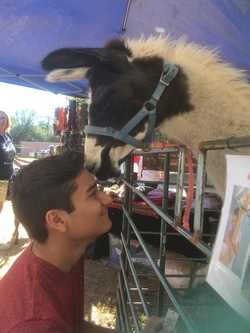 BigHunkLlama BigHunkLlama